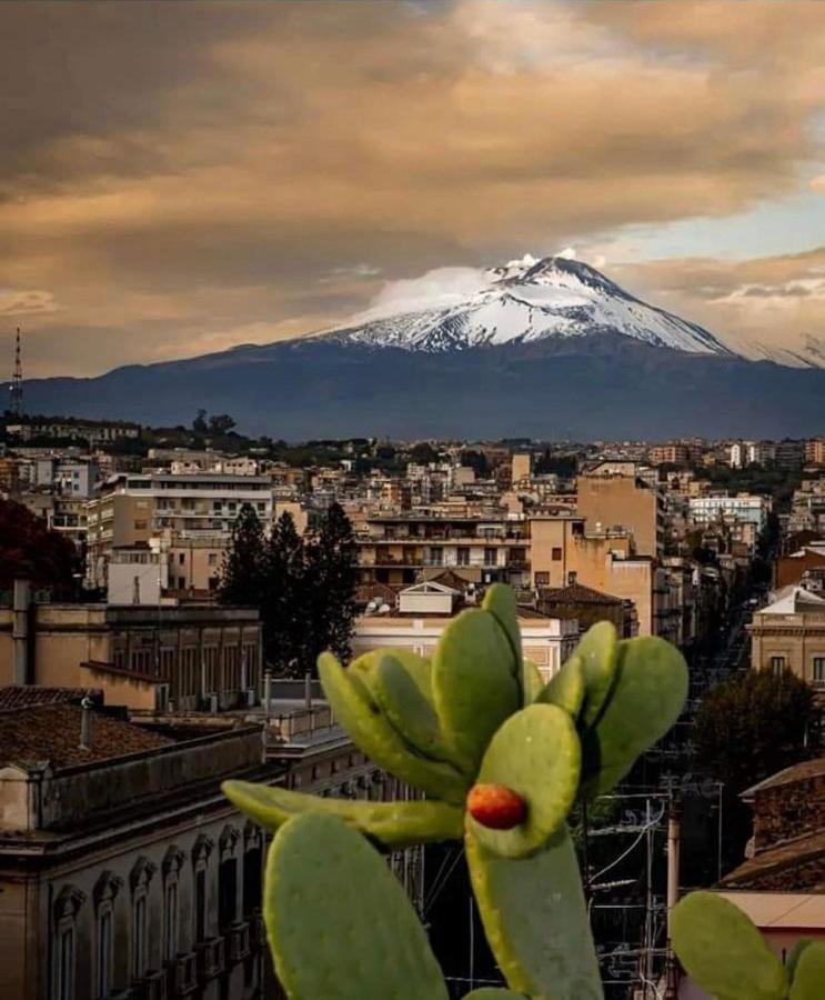 Catania Apartment Borgo Suite Autonomous Luaran gambar